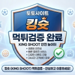 kingshoot profile picture
