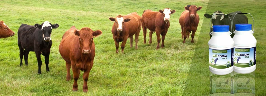 Vetset Lifecare Cover Image