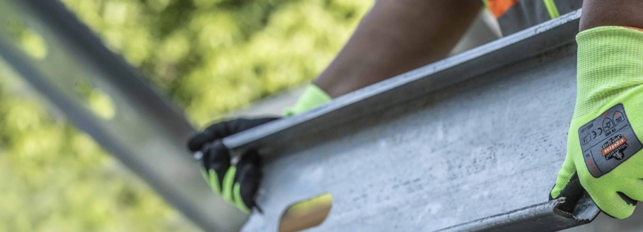 Bison Life Cover Image