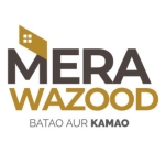 Mera wazood profile picture