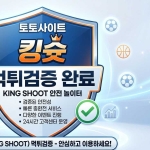 kingshoot profile picture