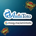 amintoto profile picture