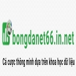 BongdaNET 66 In Net profile picture