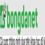 BongdaNET Org profile picture