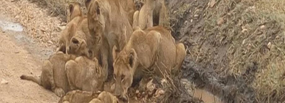 Marumaru East Africa Safaris Cover Image