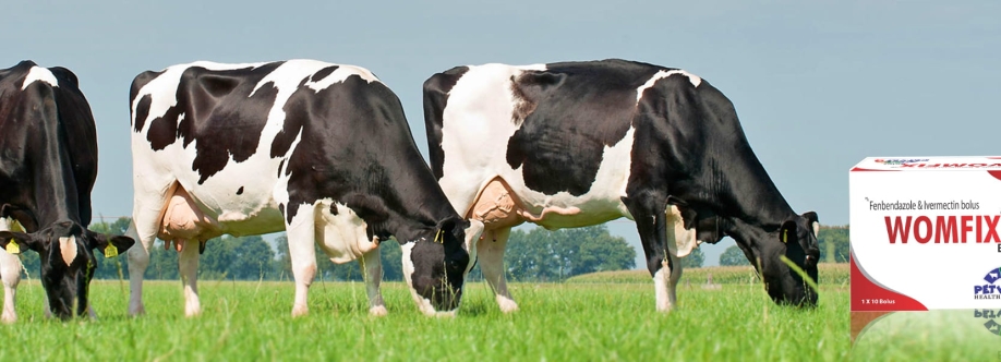 Petvet healthcare Cover Image