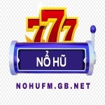 NOHU FM Gb Net profile picture