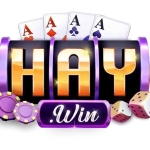 Haywin Đẳng Cấp Nhà Cái Online Với Dịch Vụ Bảo Mật Tốc Độ Vượt Trội profile picture