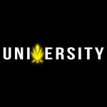 Trap University profile picture