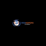 WebHopers Academy profile picture