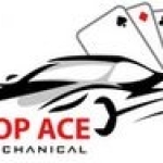 topace profile picture