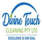 Divine Touch Cleaning profile picture