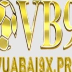 vuabai9 profile picture