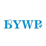 BYWB Bearing profile picture