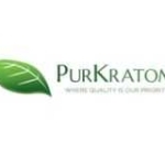 purk Ratom profile picture