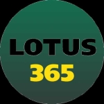 Lotus365 Lotus365 profile picture