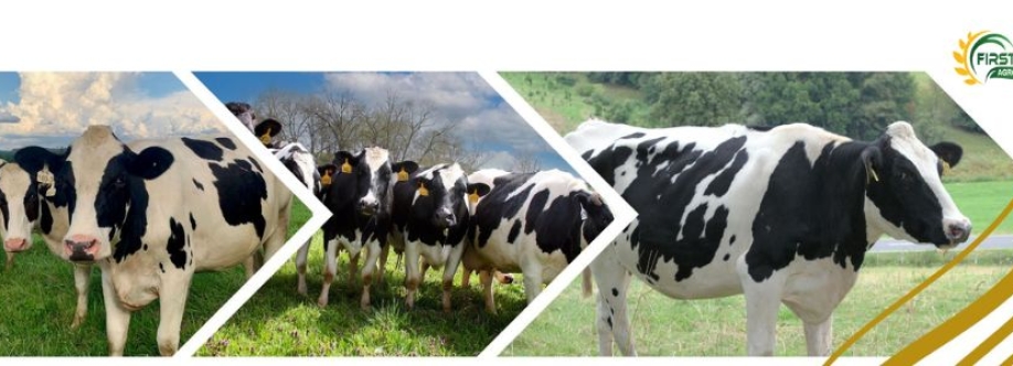 First Bell Agro Cover Image