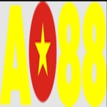 AO88 profile picture